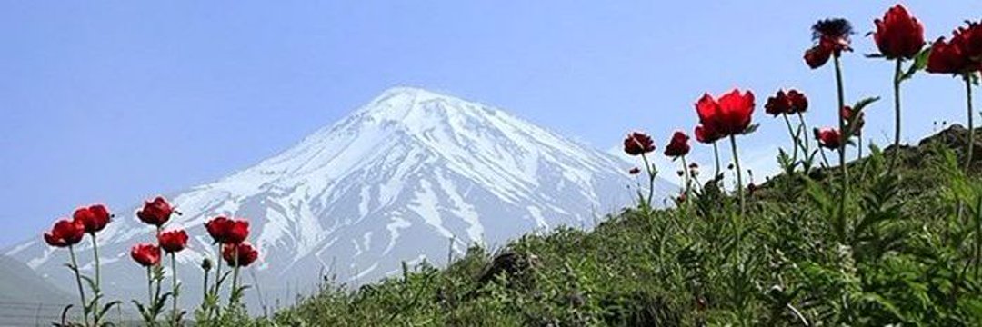Oveyspy's profile banner image