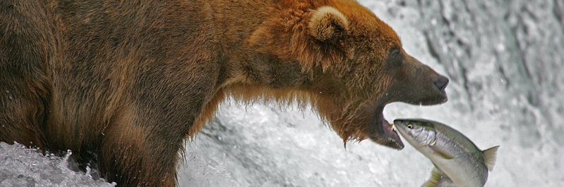 simon_puleo's profile banner image