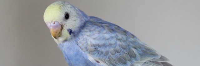 みなはらつかさ＠「闇鍋推理バトル！」Kindleで発売中！ banner