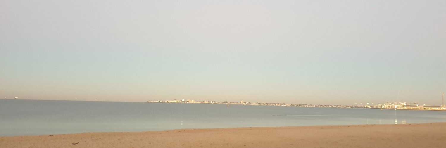 Rachel Versteegen banner