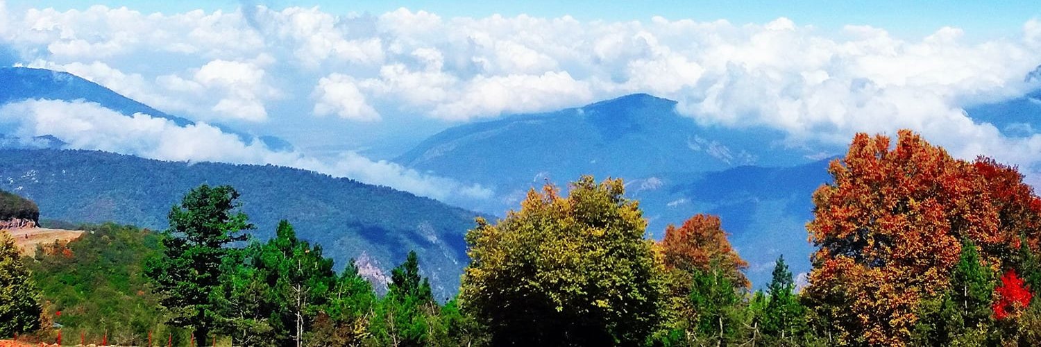 Shidan Gouran banner