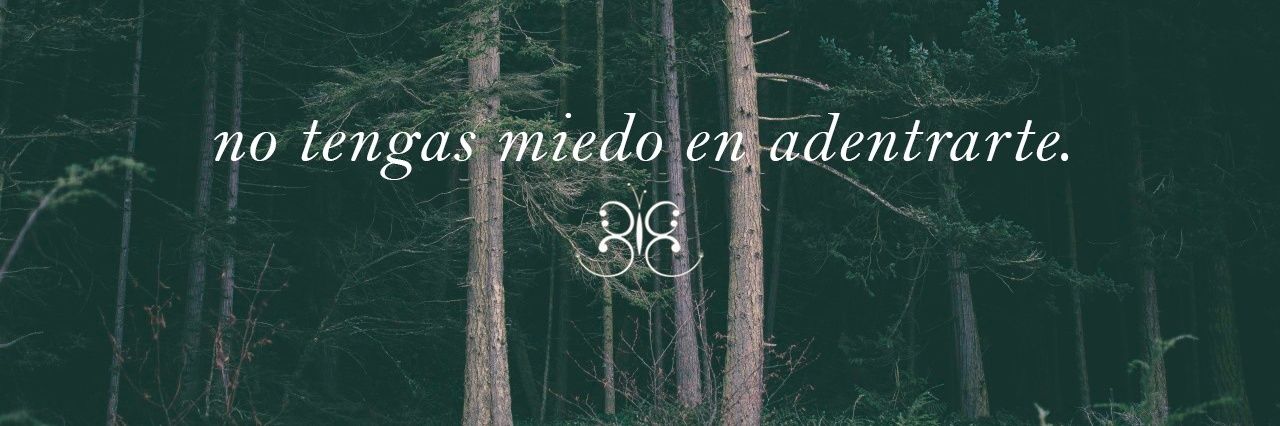 riberaland's profile banner image