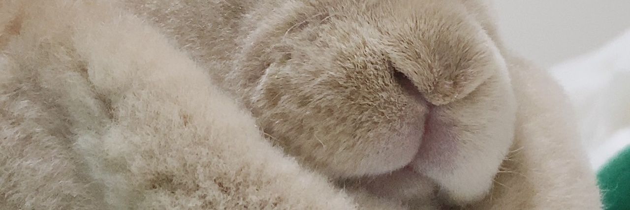 Monicamonioki's profile banner image