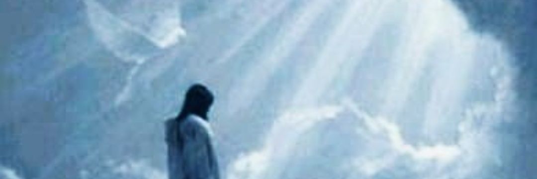 Arash48601311's profile banner image