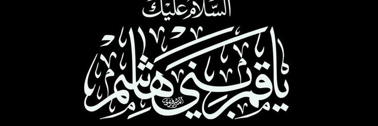 amir's banner