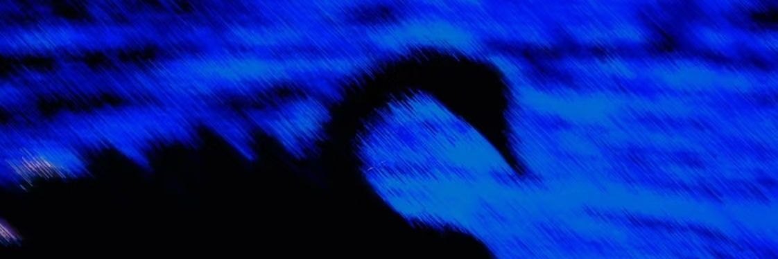 Slleepy2_'s profile banner image