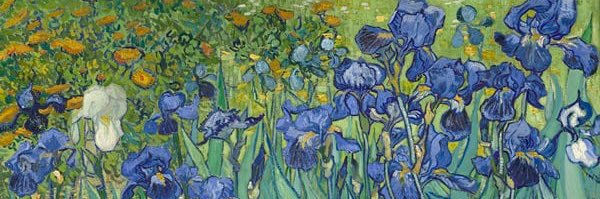 jasmine monroe banner