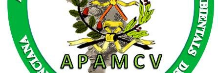 AGENTES APAMCV banner