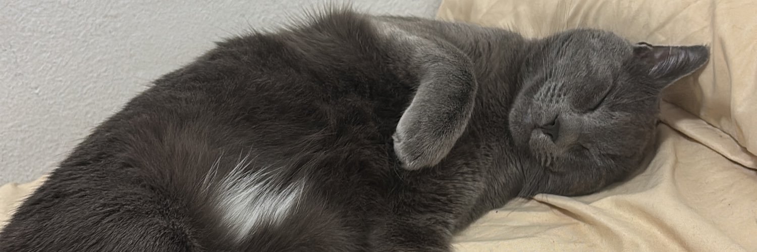 xtinaramos_'s profile banner image