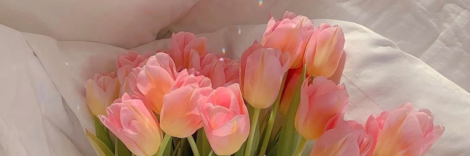 kim ✩ 19.8🌷 banner