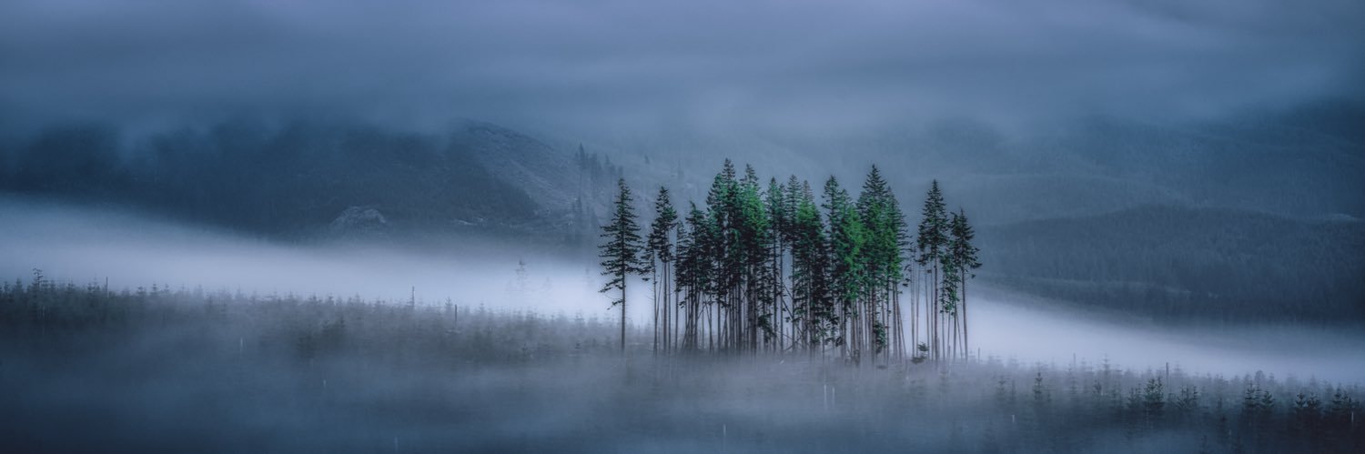 wolfmercury's profile banner image
