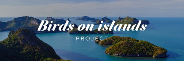 IslandBirdProj Profile Banner