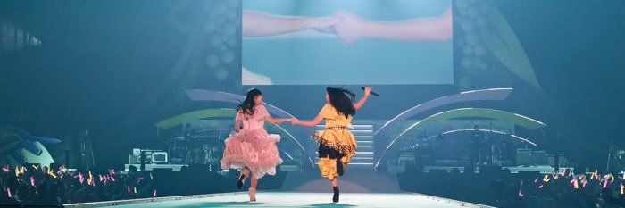 不吉な黒猫♂ banner