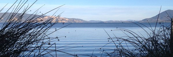 terreal Profile Banner