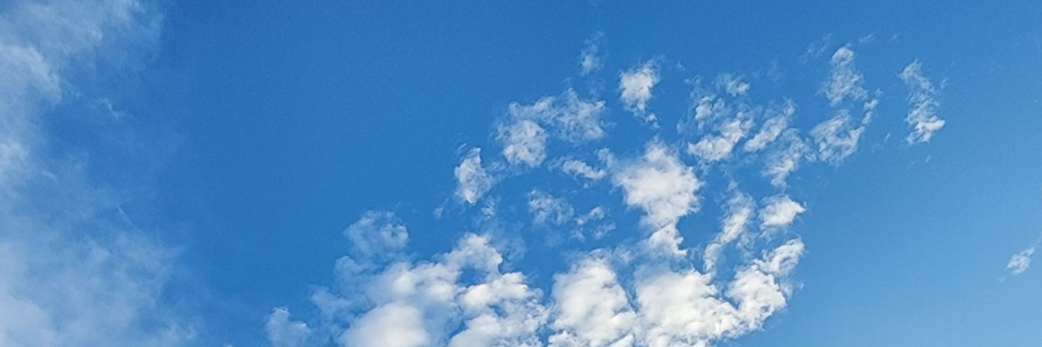 데이지 banner