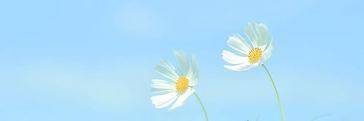 sweetmatcha02's profile banner image