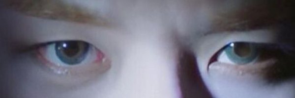 pandaMimy Profile Banner