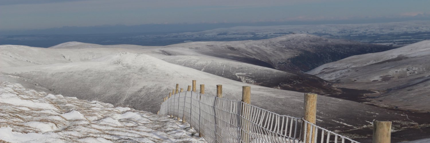 Lurcher Girl 💙 🐾🦊🦡🦔🏔🥾🧘‍♀️🧶📚🖌 banner