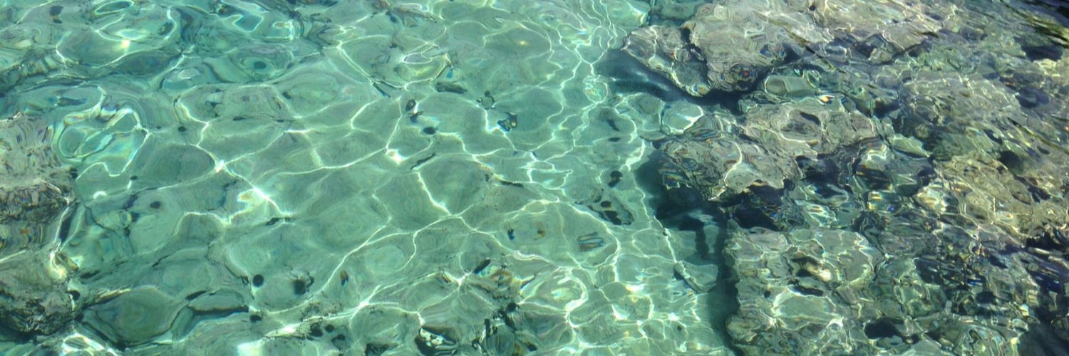 LisetteCipriano banner