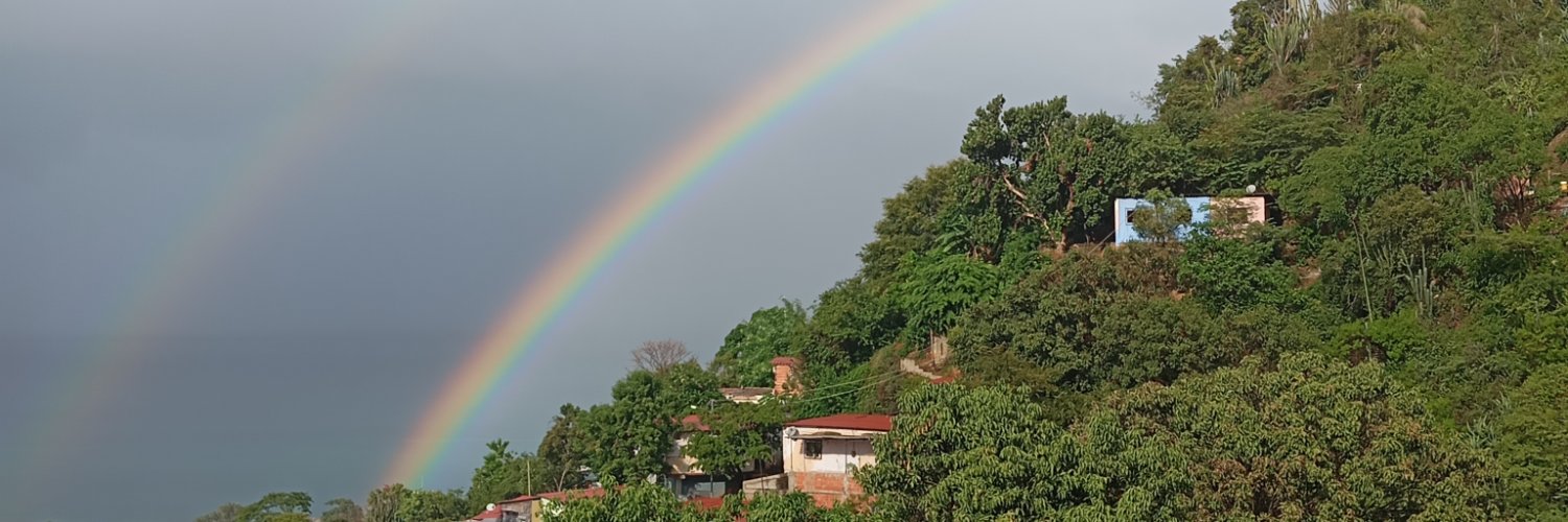luiserescal's profile banner image