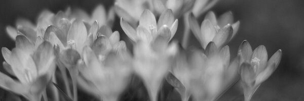 RjoeN Profile Banner