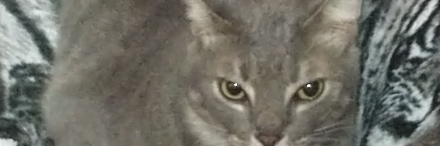 Kjenn_'s profile banner image
