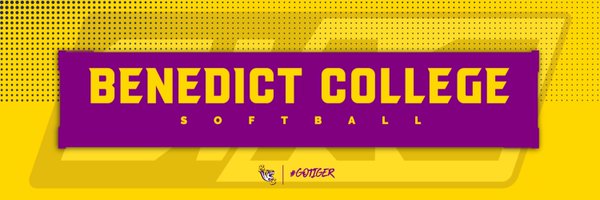 BenedictSoftb1 Profile Banner