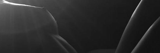 Diversified Portfolio Don banner