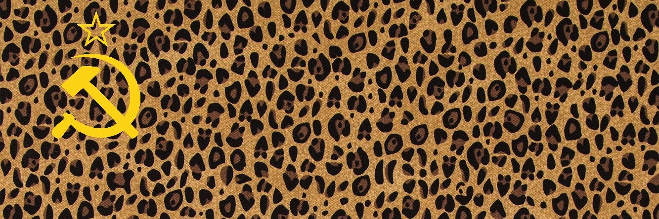 Commander Audrey! banner