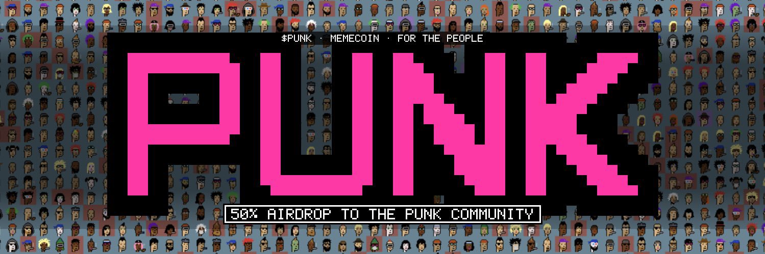 Punk CM banner
