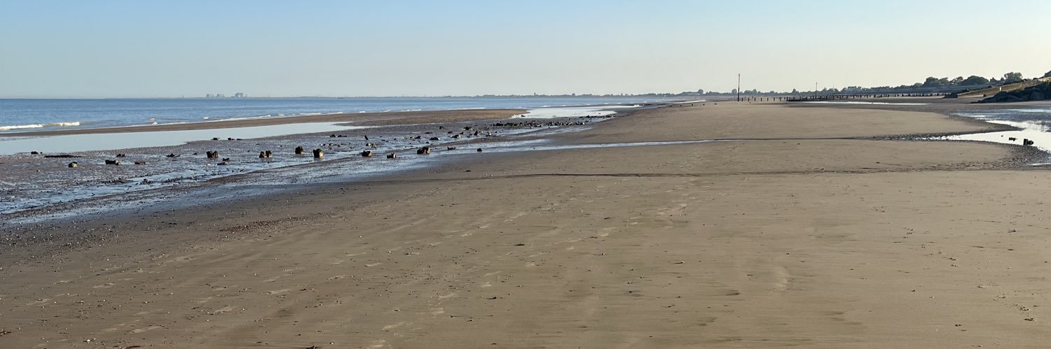 Jenni Regan 🧡 banner