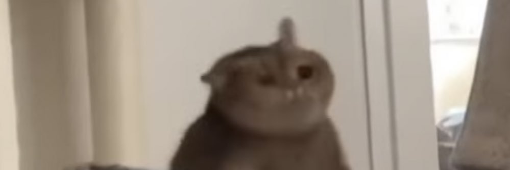 Maxymage's profile banner image