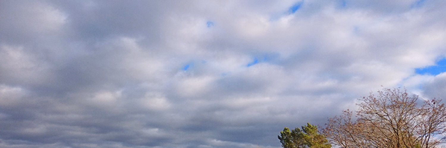 Dyane Ménard 🏳️‍🌈 🇨🇦 banner