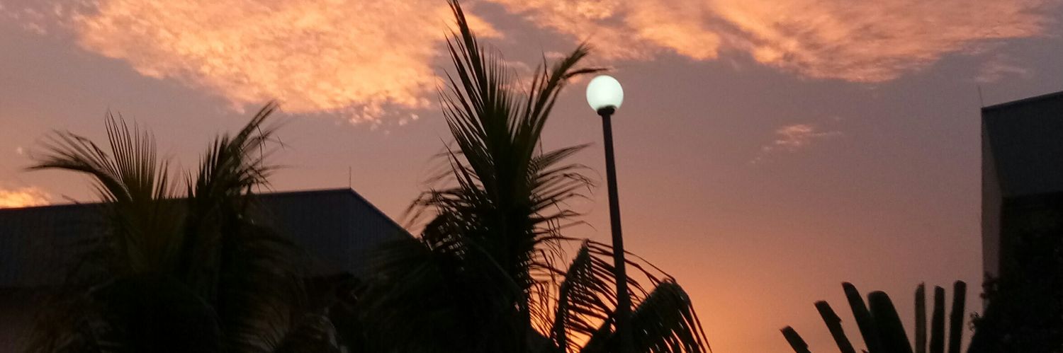 wildaafis14's profile banner image