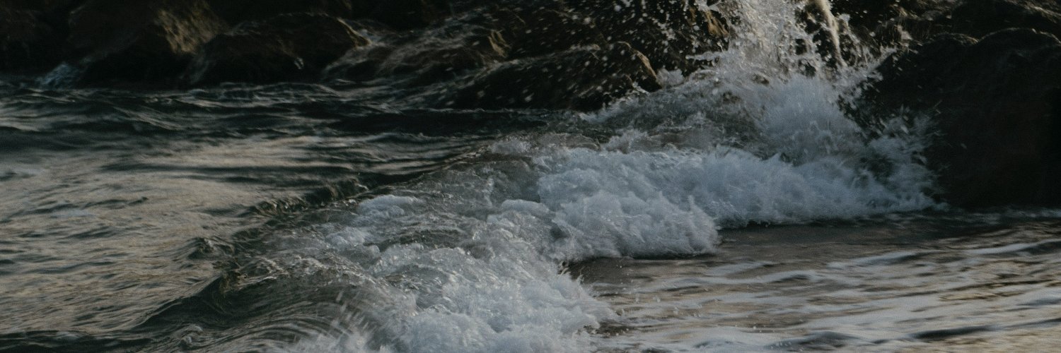 0xErling banner