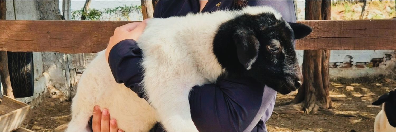 ka 🐮 banner