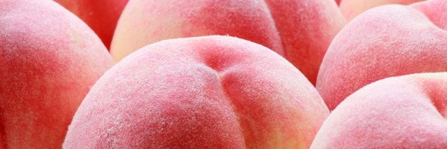 moeko🐰🫧 banner