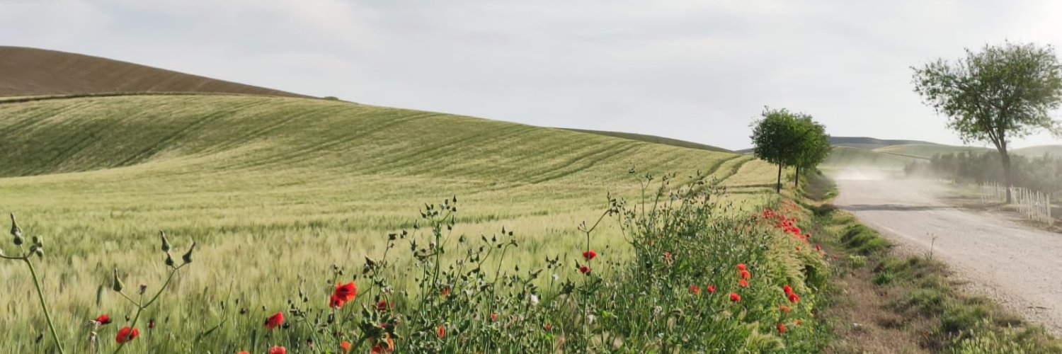 Surco y Marea banner