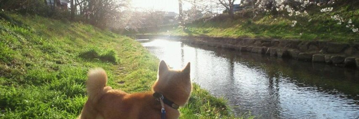 yosuke_0330's profile banner image