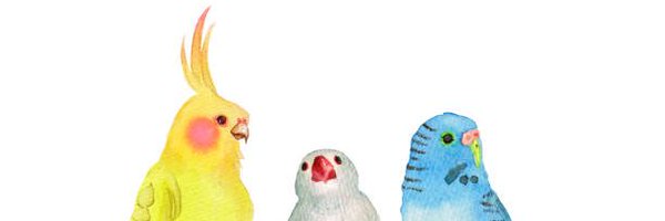 sfpdd783 Profile Banner