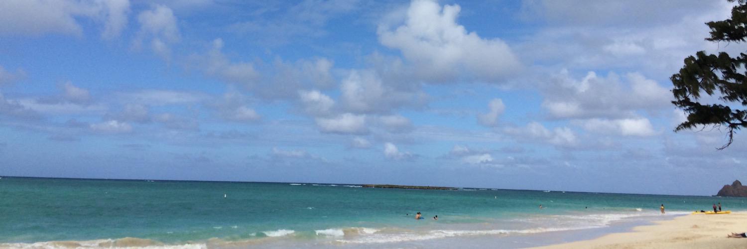 luvkui's profile banner image
