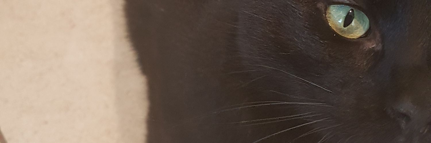 HeyItsAlexxela's profile banner image