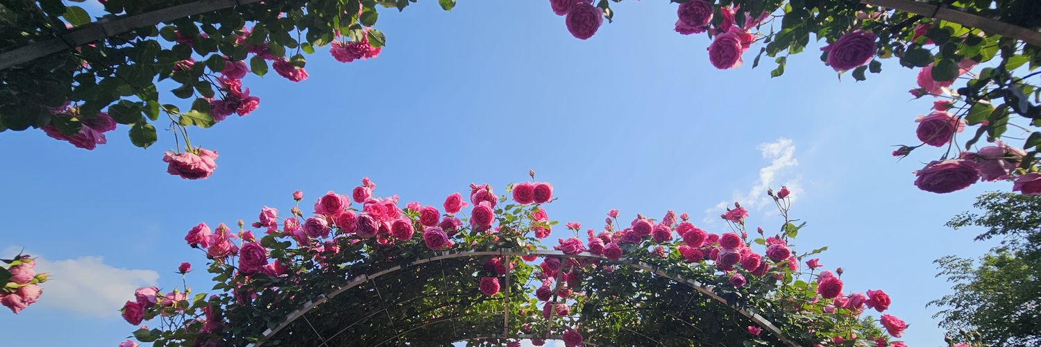 あいにゃ banner