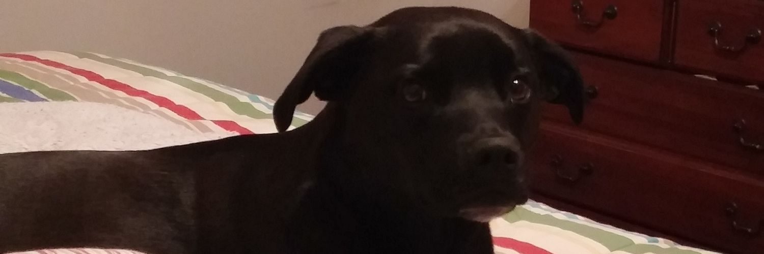 Amy_Ames1's profile banner image