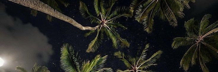 🦢 banner