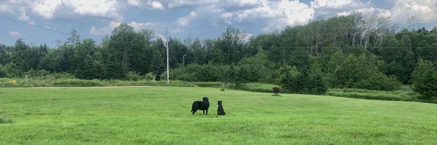 Leafs4life 🇨🇦🇺🇸 banner