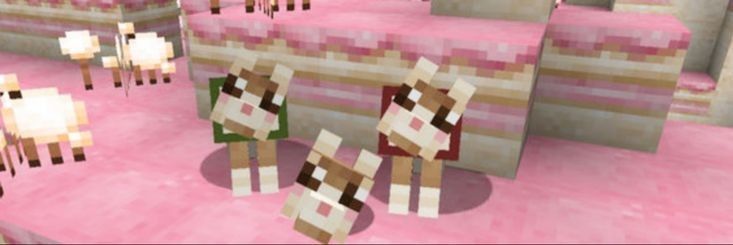 pawprints_lol's profile banner image