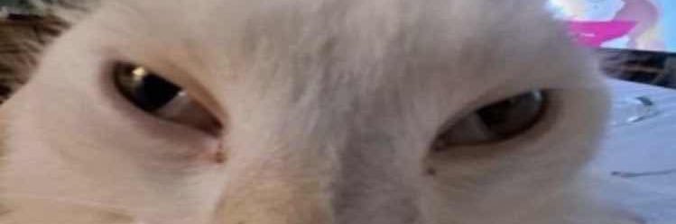 Slayussy2's profile banner image