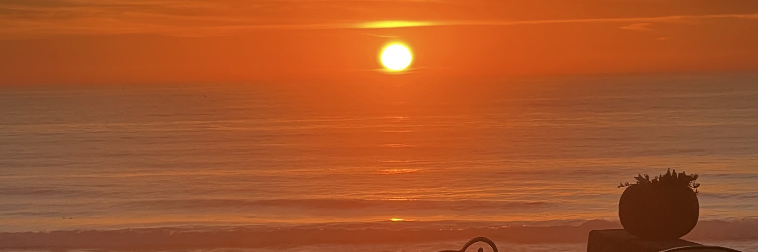 msletyc's profile banner image