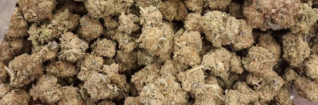 thc_war's profile banner image